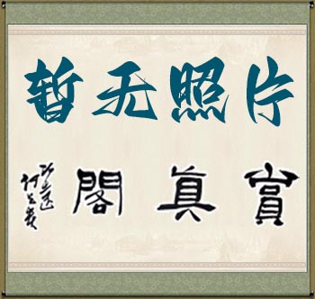许公泽